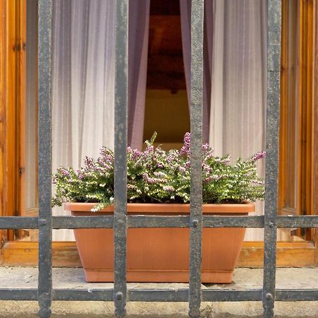 San Frediano District - Apartment فلورنس المظهر الخارجي الصورة